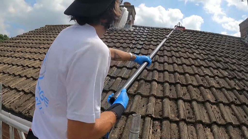 Roof Cleaning​