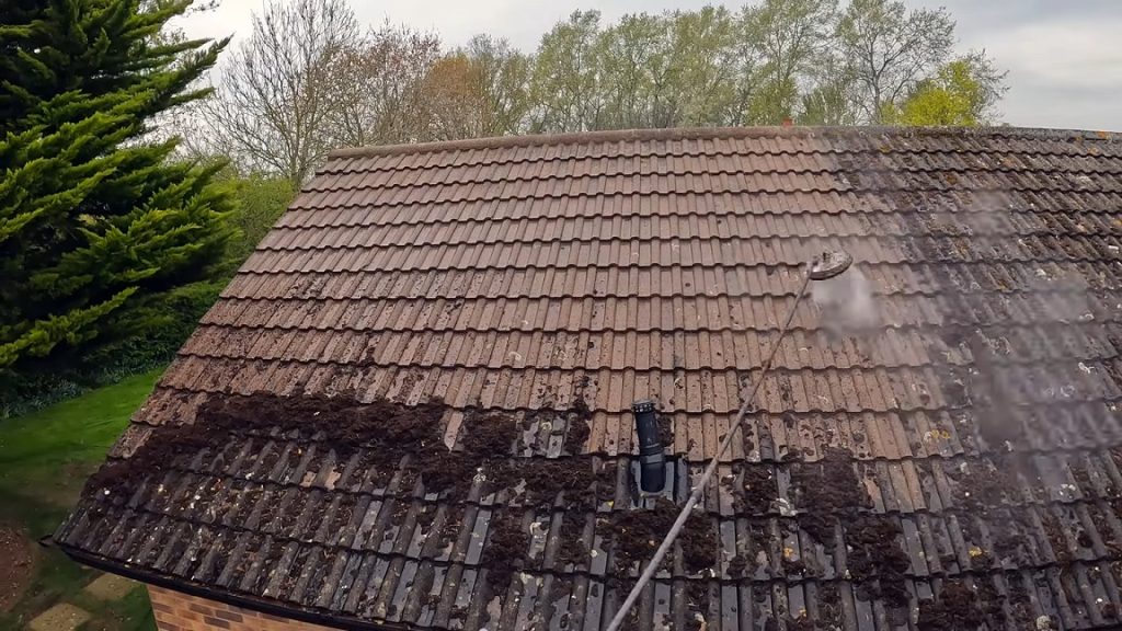 Moss Cleaning Service​