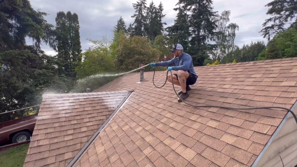 Roof Cleaning​