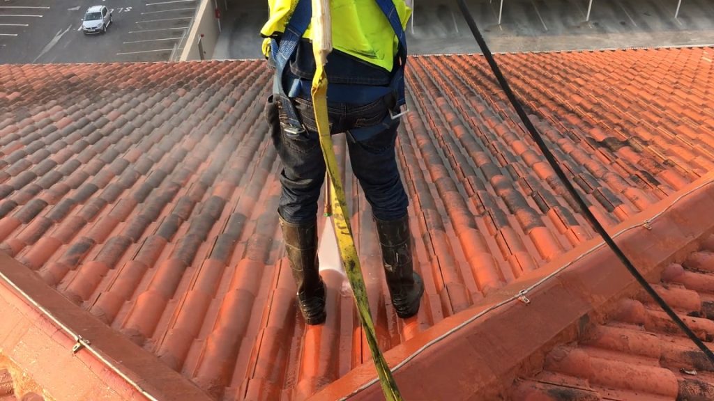 Tile Roof Cleaning​